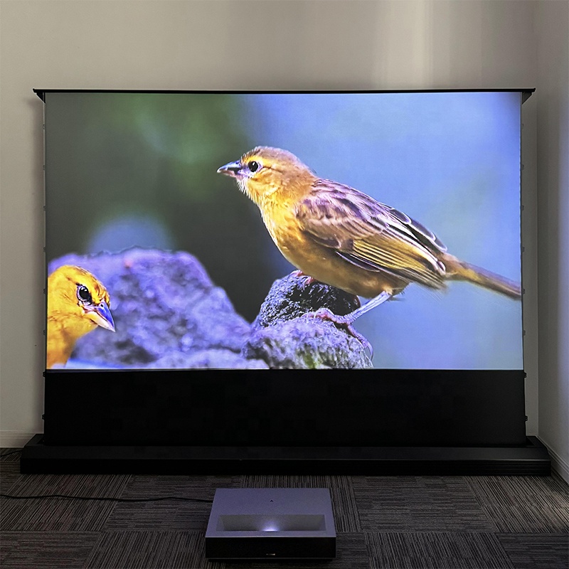 Alr Ambient Light Rejecting Projector Screen - 120 Inch Motorized Floor Rising ALR