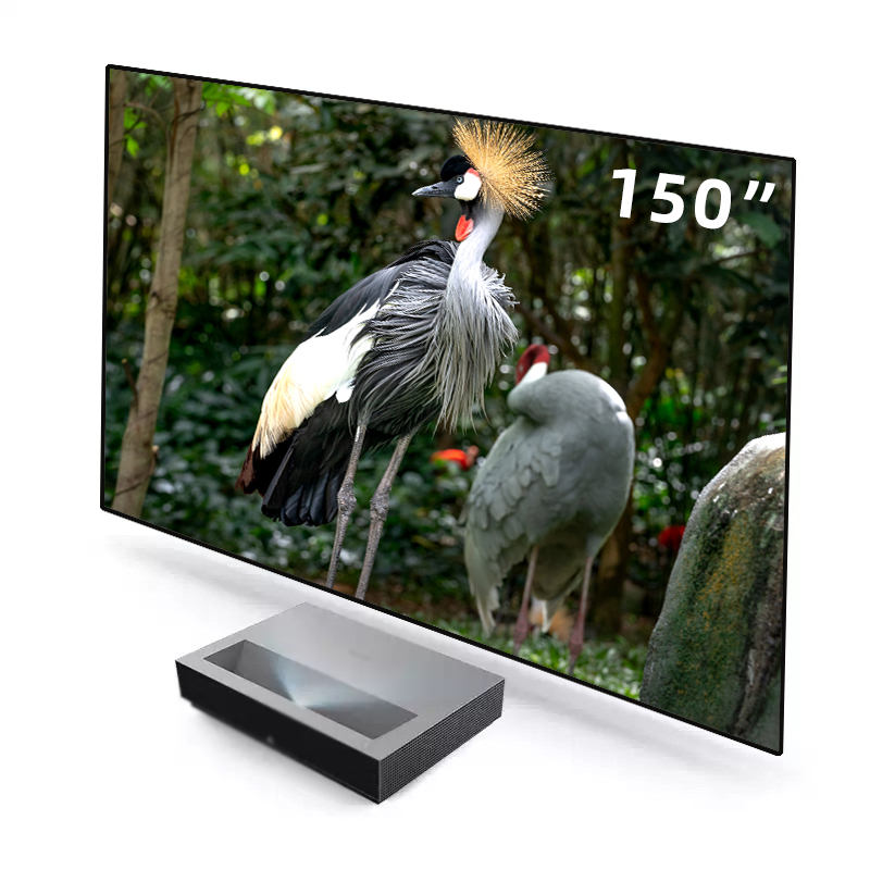 2026 HOT ALR PET Crystal Black - Alr Ambient Light Rejecting Projector Screen review and price