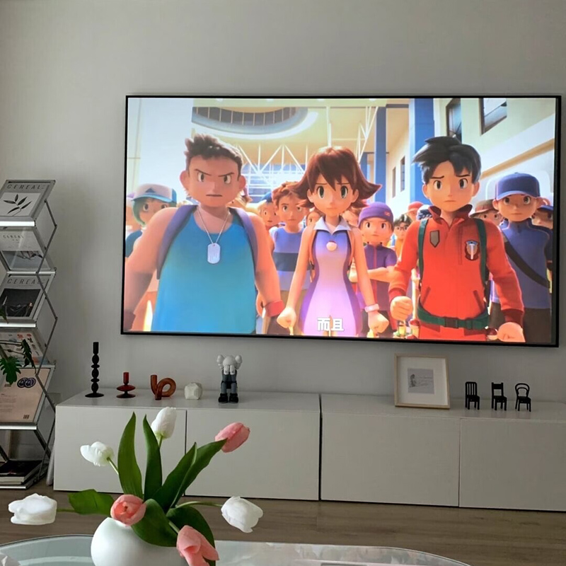 ALR Projection Screen 3D Nano  - Alr Ambient Light Rejecting Projector Screen review and price
