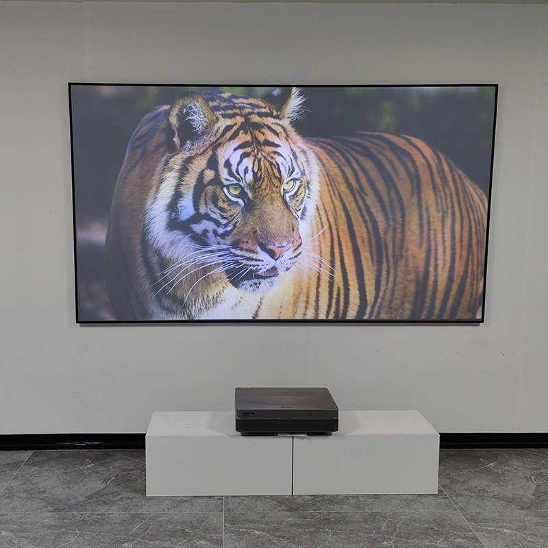 VisualMr Black Grid ALR UST Pr - Alr Ambient Light Rejecting Projector Screen review and price