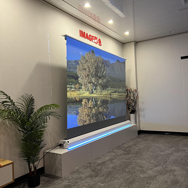 VisualMr Electric Floor Rising - Alr Ambient Light Rejecting Projector Screen review and price